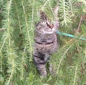 Meet your Posher, Jean-yves